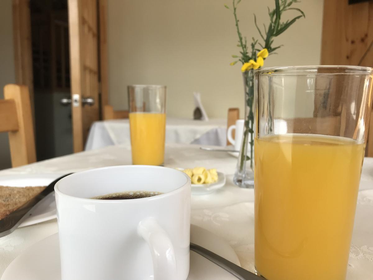 Hostal Los Pioneros Πουέρτο Νατάλες Εξωτερικό φωτογραφία